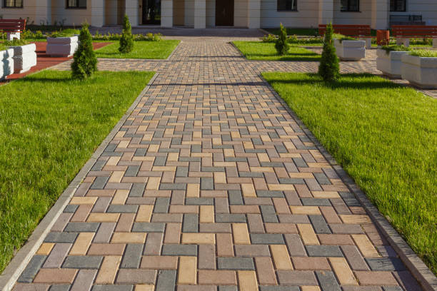 Best Professional Driveway Pavers  in Seth Ward, TX